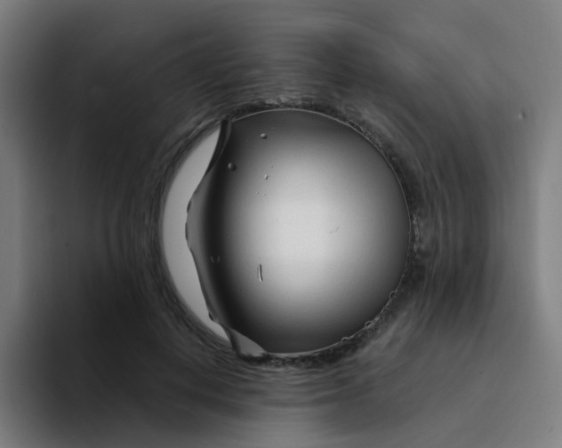 X0000094200648200711161809