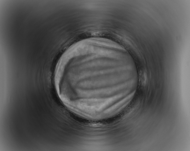 X0000094200650200711161809