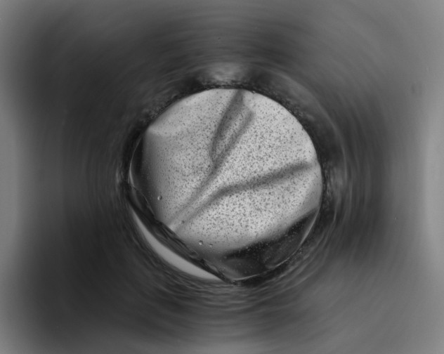 X0000094200651200711161809