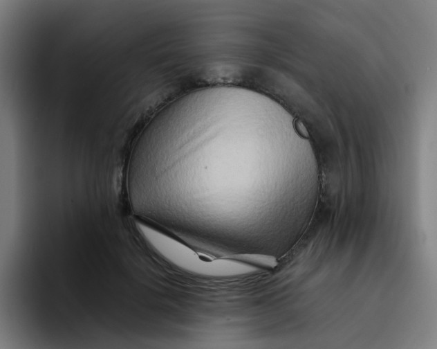 X0000094200652200711161809