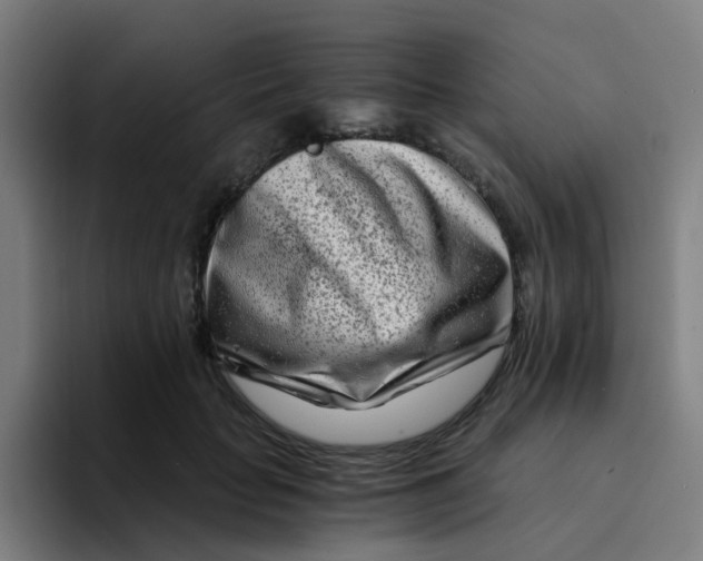 X0000094200653200711161809