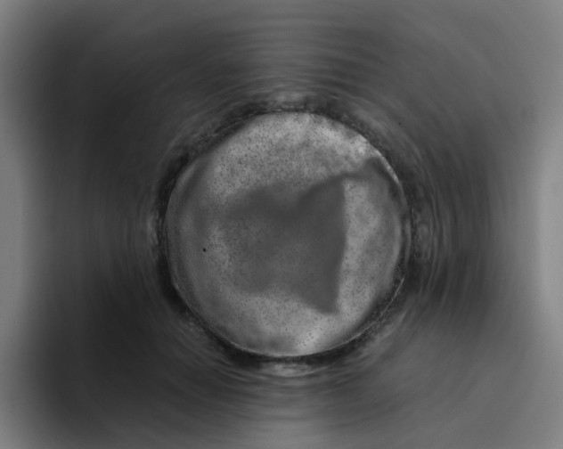 X0000094200654200711161809