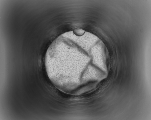 X0000094200655200711161809