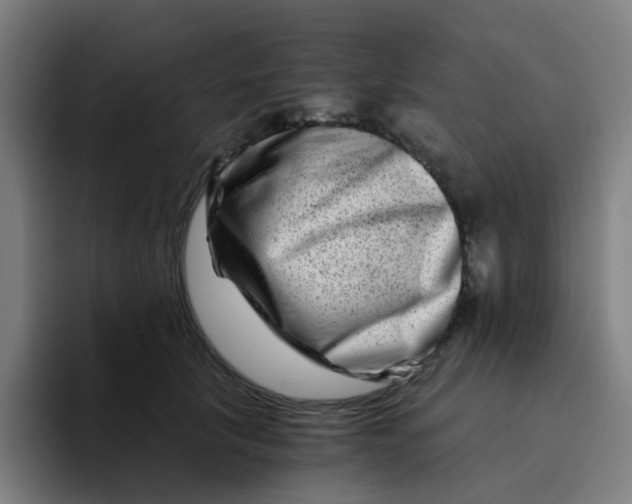 X0000094200657200711161809