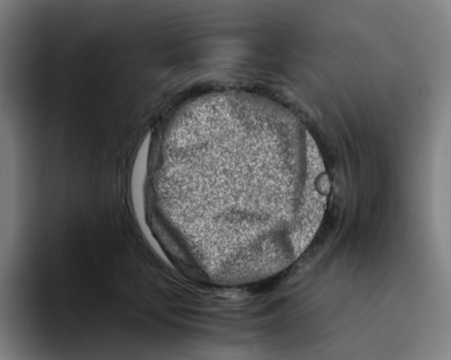 X0000094200659200711161809