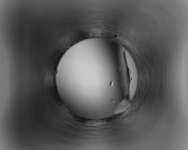 X0000094200661200711161809