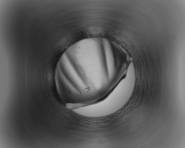 X0000094200662200711161809