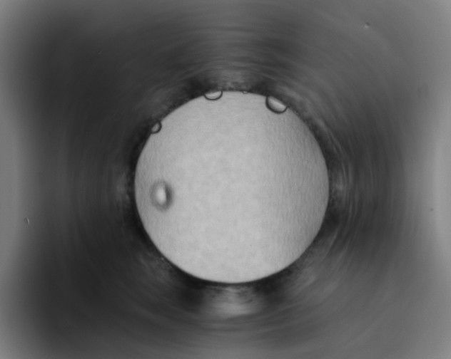 X0000094200663200711161809