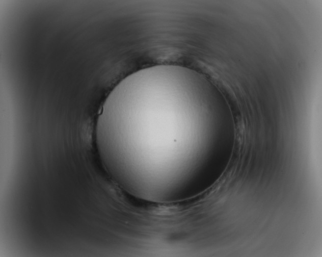 X0000094200664200711161809