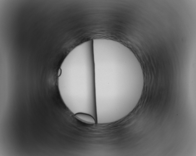 X0000094200665200711161809