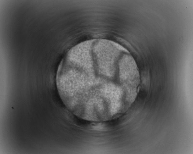 X0000094200667200711161809