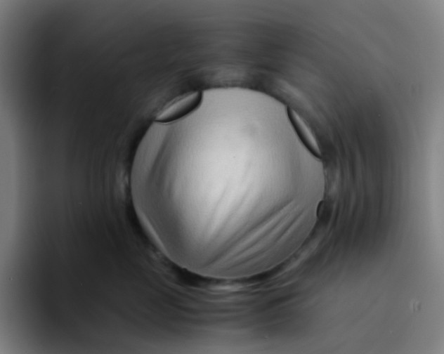 X0000094200669200711161809