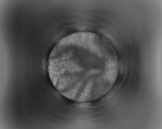 X0000094200670200711161809