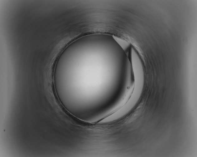 X0000094200673200711161809