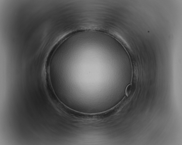 X0000094200674200711161809