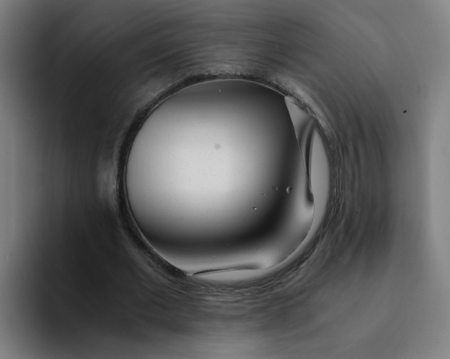 X0000094200677200711161809