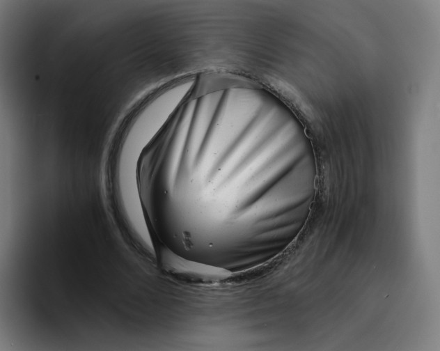 X0000094200680200711161809