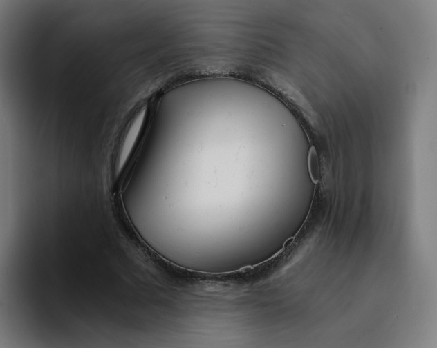 X0000094200681200711161809