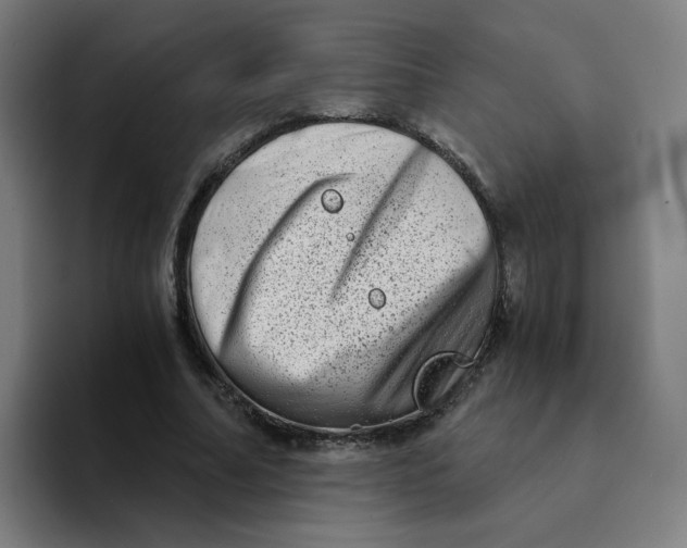 X0000094200682200711161809