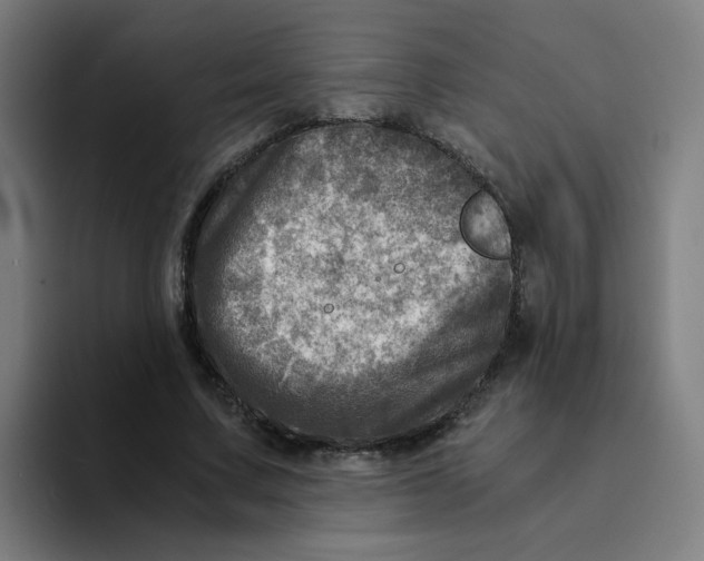 X0000094200683200711161809