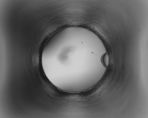 X0000094200685200711161808