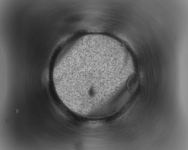 X0000094200686200711161808