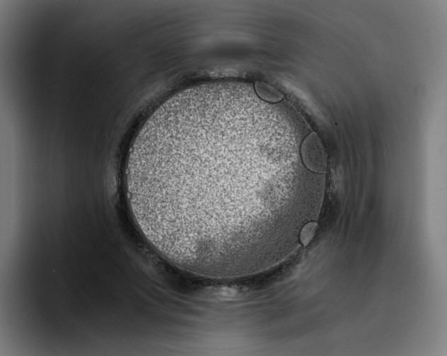 X0000094200687200711161808