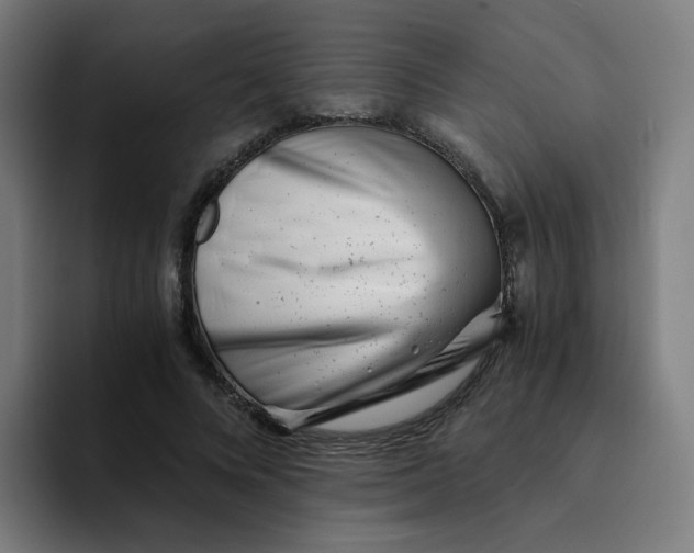 X0000094200688200711161808