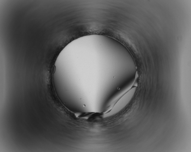 X0000094200689200711161808