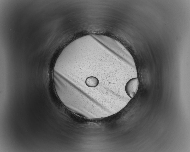 X0000094200690200711161808