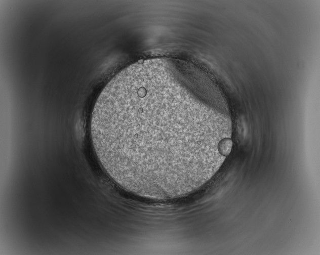 X0000094200691200711161808