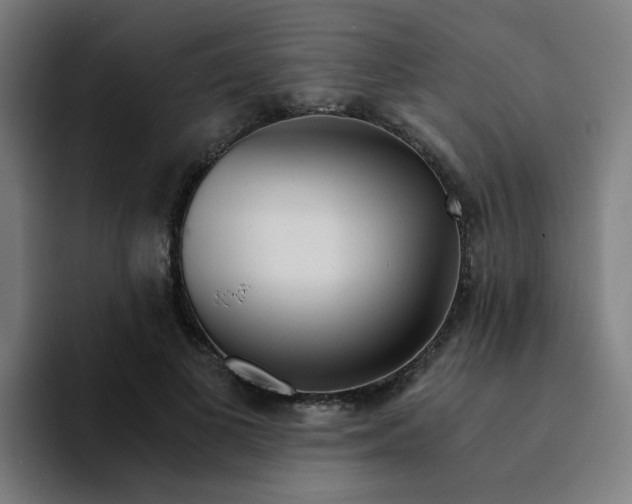 X0000094200693200711161808