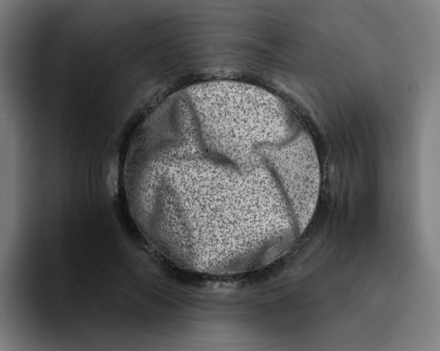 X0000094200694200711161808