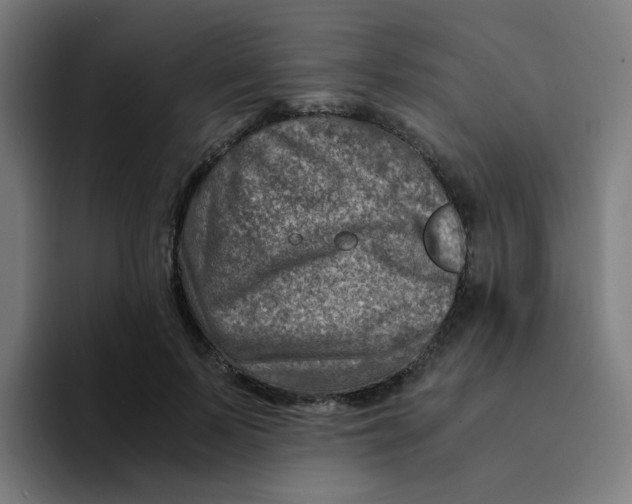 X0000094200695200711161808