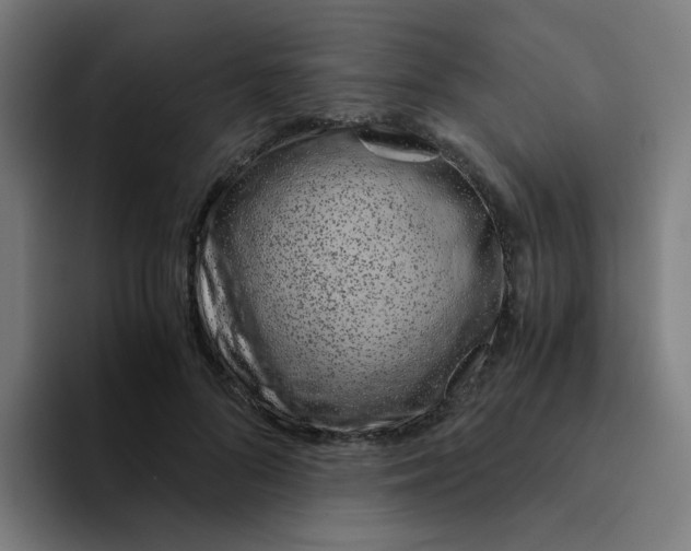 X0000094200696200711161808