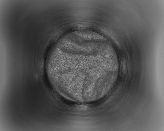 X0000094200698200711161808