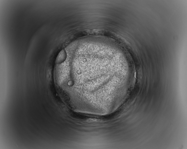 X0000094200699200711161808