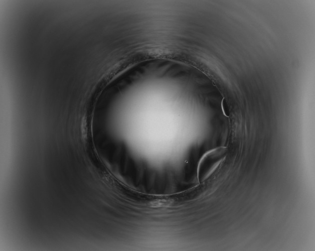 X0000094200700200711161808