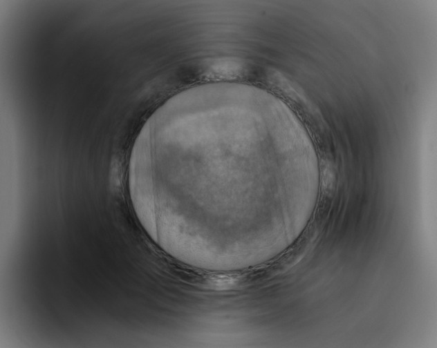 X0000094200701200711161808