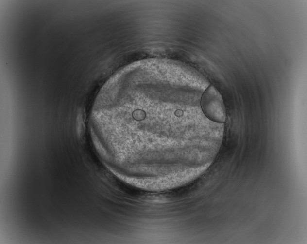 X0000094200702200711161808