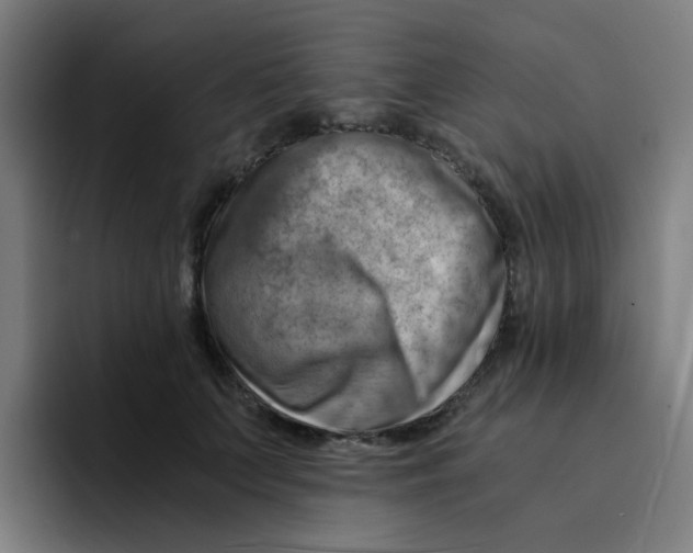 X0000094200703200711161808