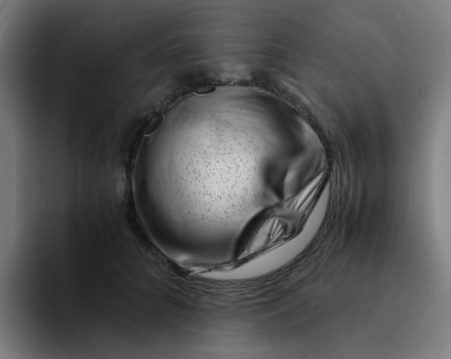 X0000094200704200711161808