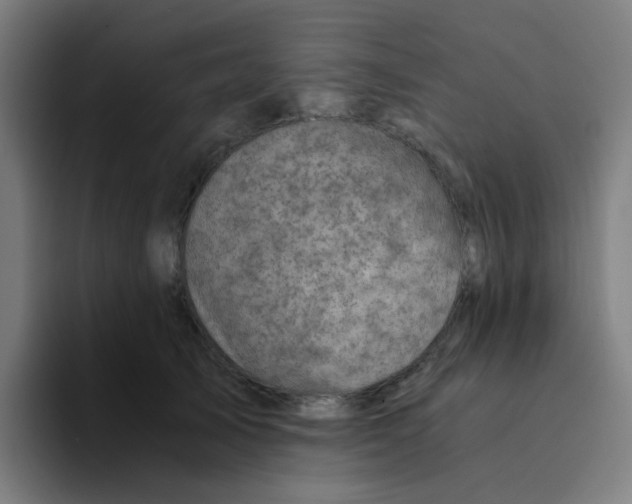 X0000094200705200711161808