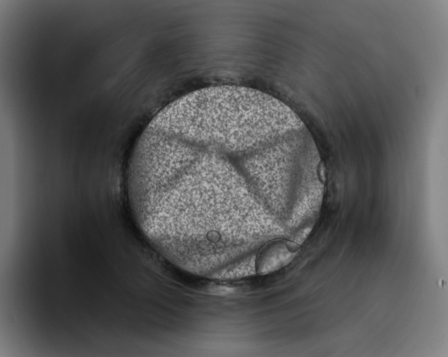 X0000094200706200711161808