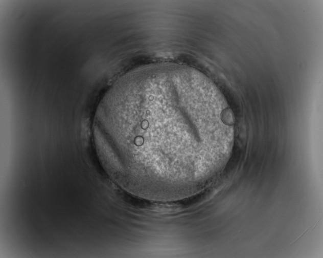 X0000094200707200711161808