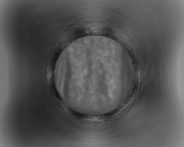 X0000094200709200711161808