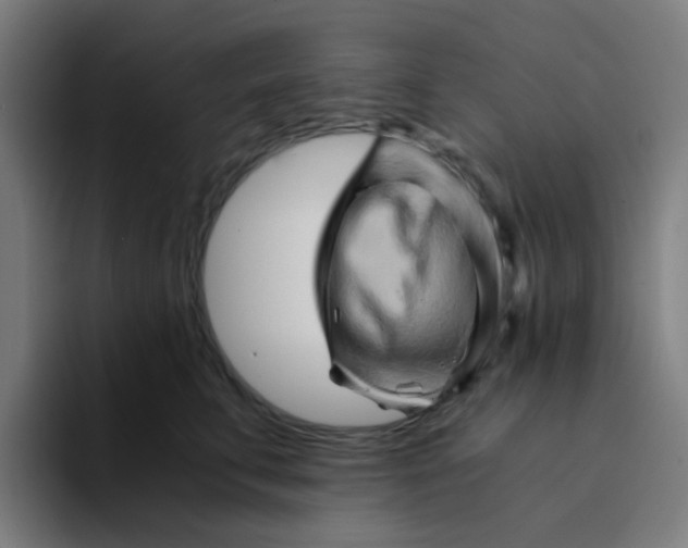 X0000094200711200711161808