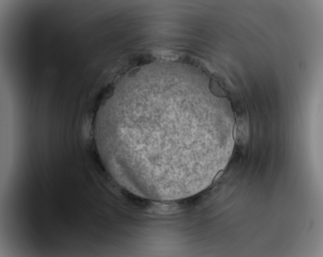 X0000094200713200711161808