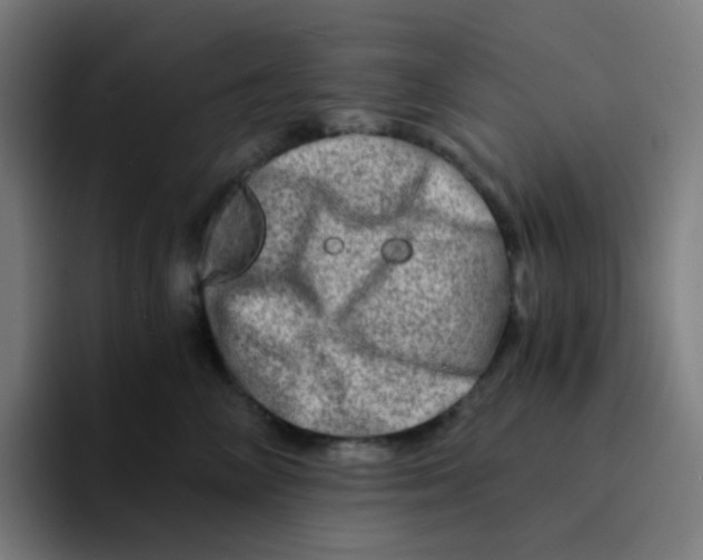 X0000094200714200711161808