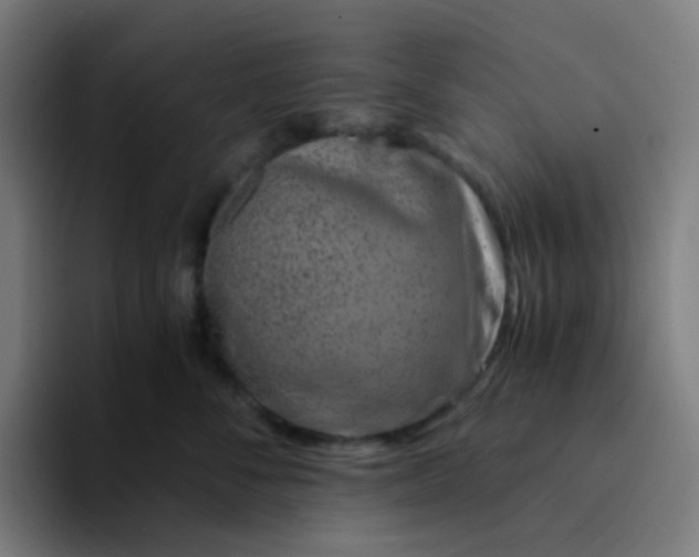 X0000094200716200711161808